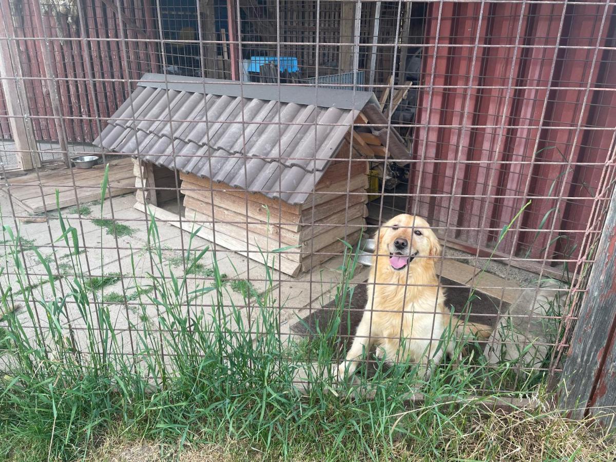 Privat Luna Lubela Экстерьер фото